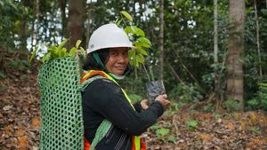 A woman holding a seedling in a forest.