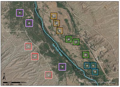 Map showing the nine plots of land that scientists have designated, showing mesquite trees.