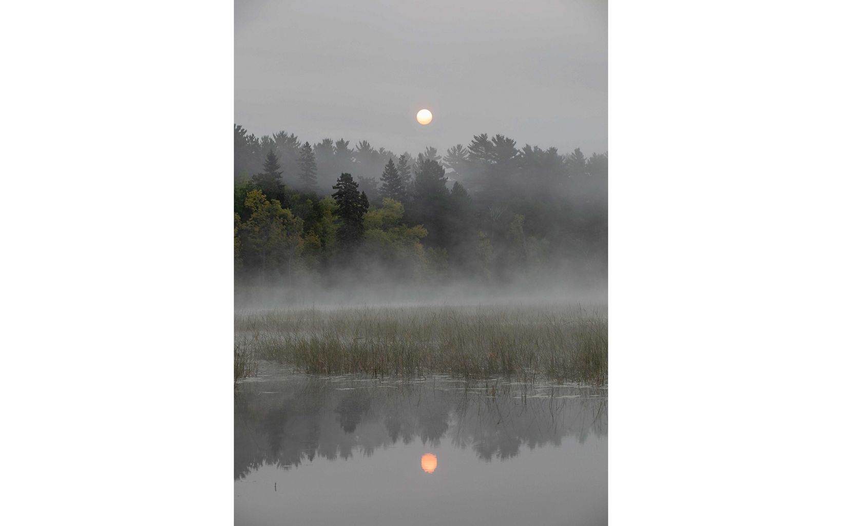 fog rises above water with trees in the background. a hazy sky dulls the sun in the center of the image and the sun is reflected in the water. 