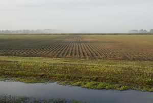 Farm fields reach all the way to a passing river.