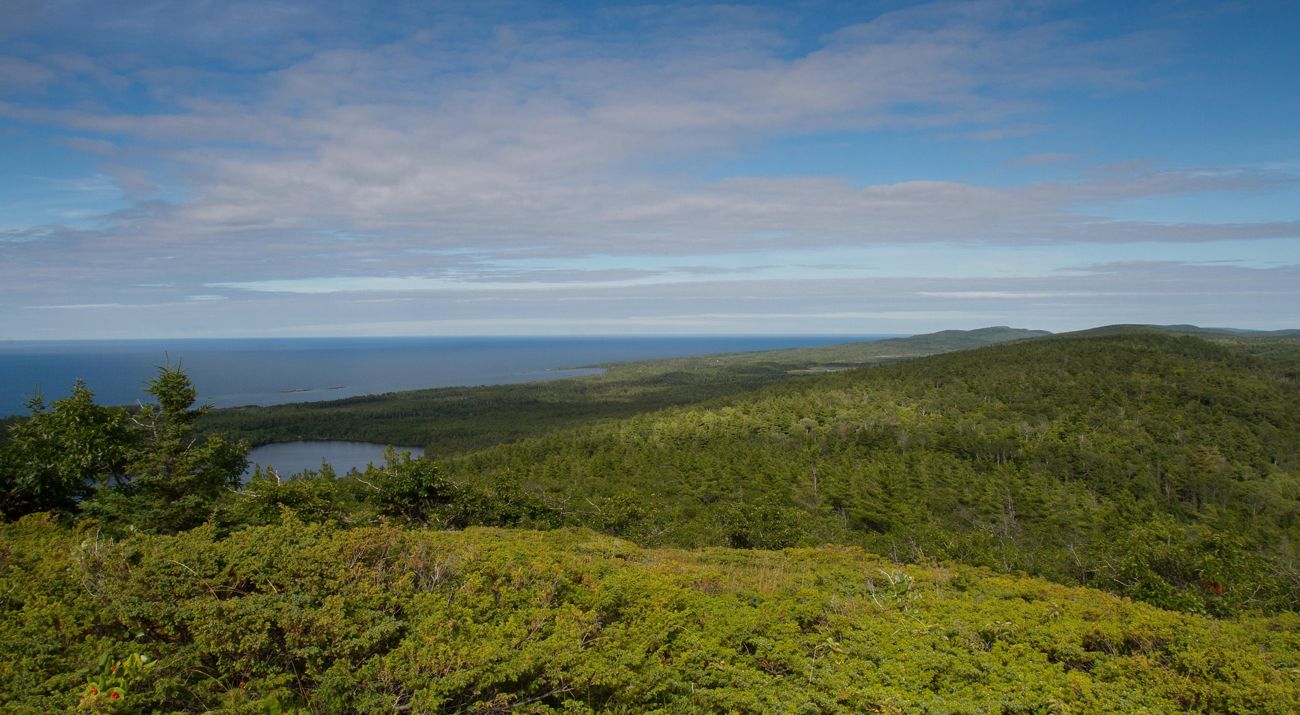 A view of rolling green forests with Lake Superior in the distance. The sky is blue and full of white clouds.