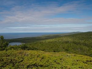A view of rolling green forests with Lake Superior in the distance. The sky is blue and full of white clouds. 