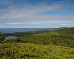 A view of rolling green forests with Lake Superior in the distance. The sky is blue and full of white clouds.