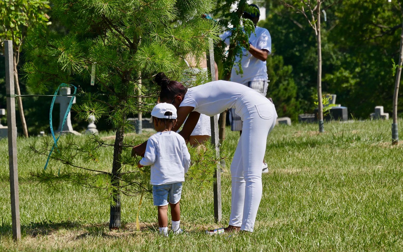Attendees tie prayer ribbons to trees at Mount Olivet Cemetery during a celebration of the legacy of freedmen John and Arabella Weems. 