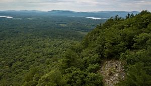 A view of a forested flood plain with lakes and distant mountains.