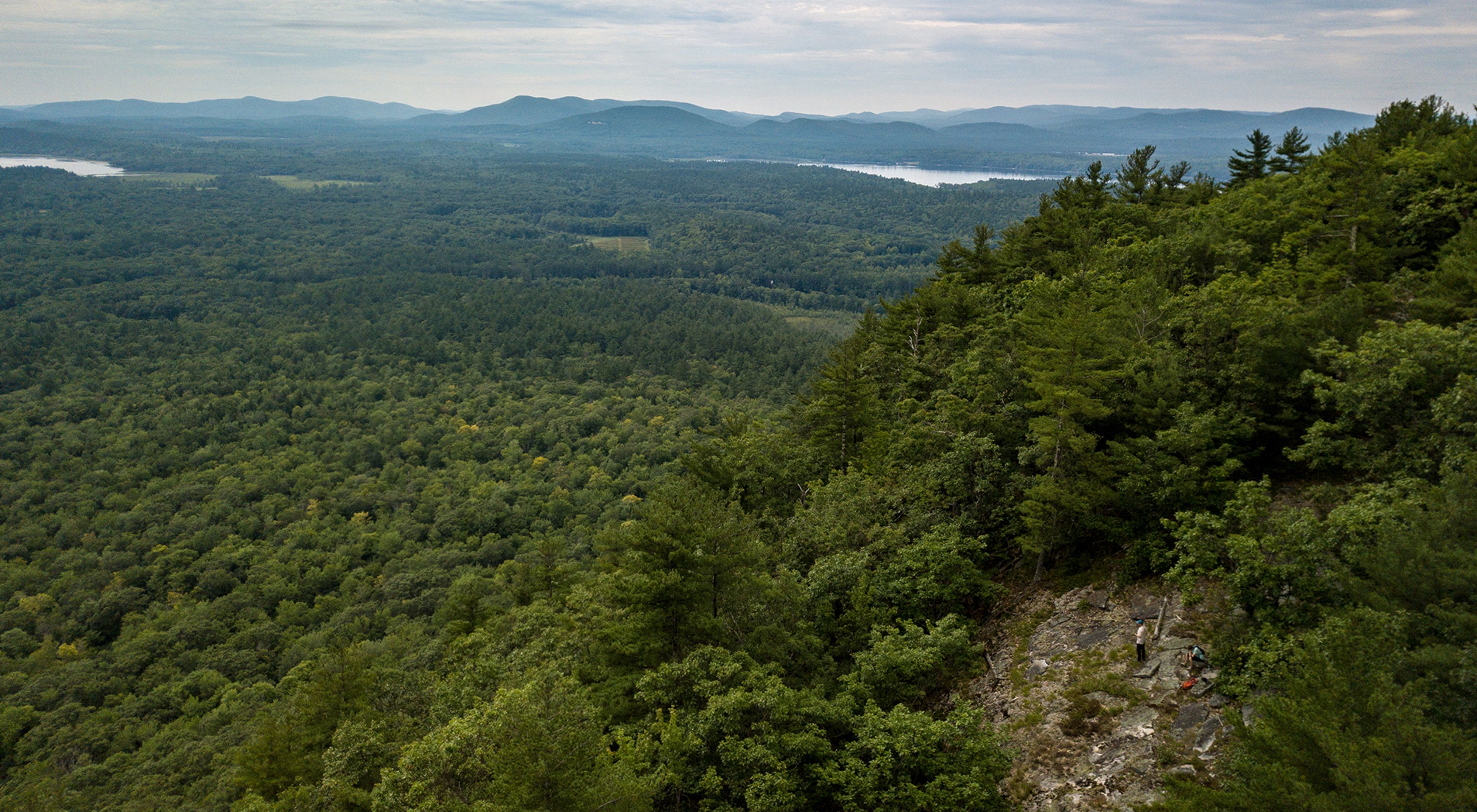 A view of a forested flood plain with lakes and distant mountains.
