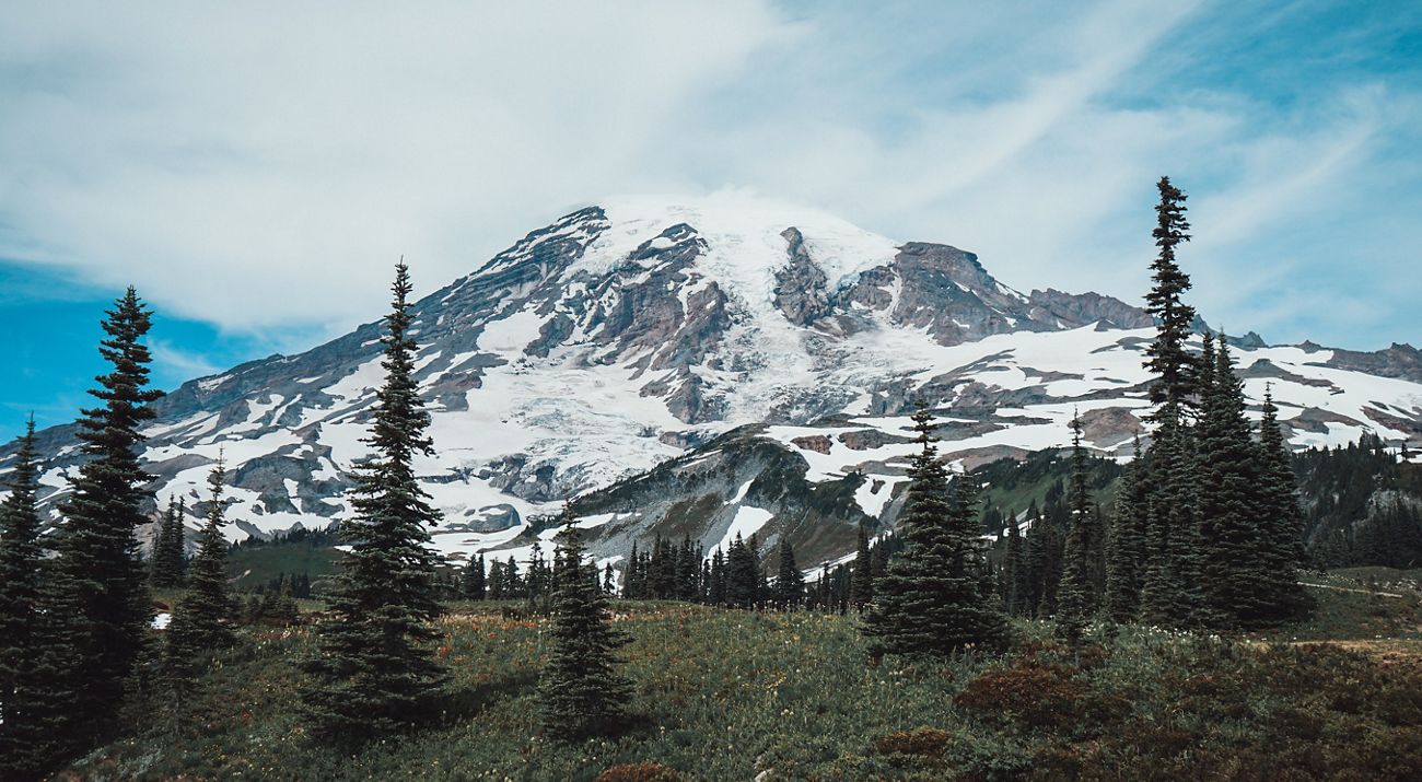 a large snow-covered mountain with evergreen trees in the foreground, Mount Rainier.