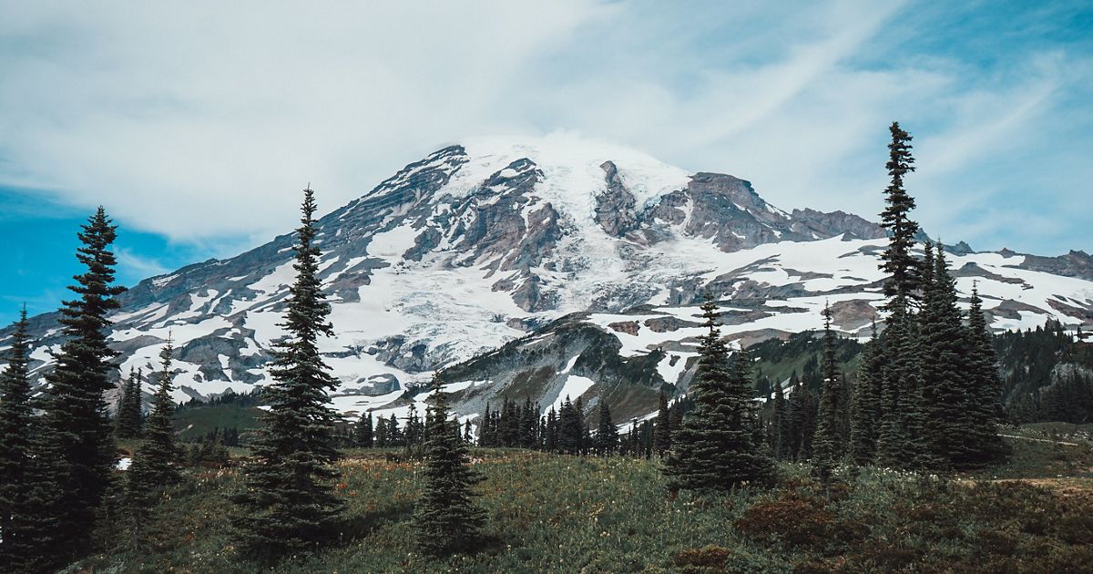 The Nature Conservancy in Washington