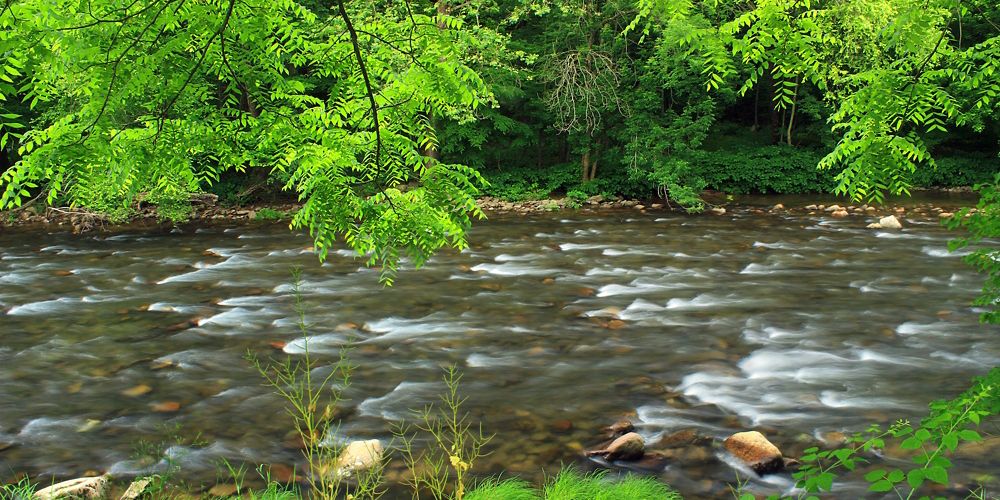 A river flowing surrounded by lush greenery.