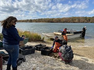 Several people gather on the shore of Katama Bay, where a boat is pulled up and being loaded with crates of oysters. One person kneels on the ground talking to the podcast producer holding a mic out.