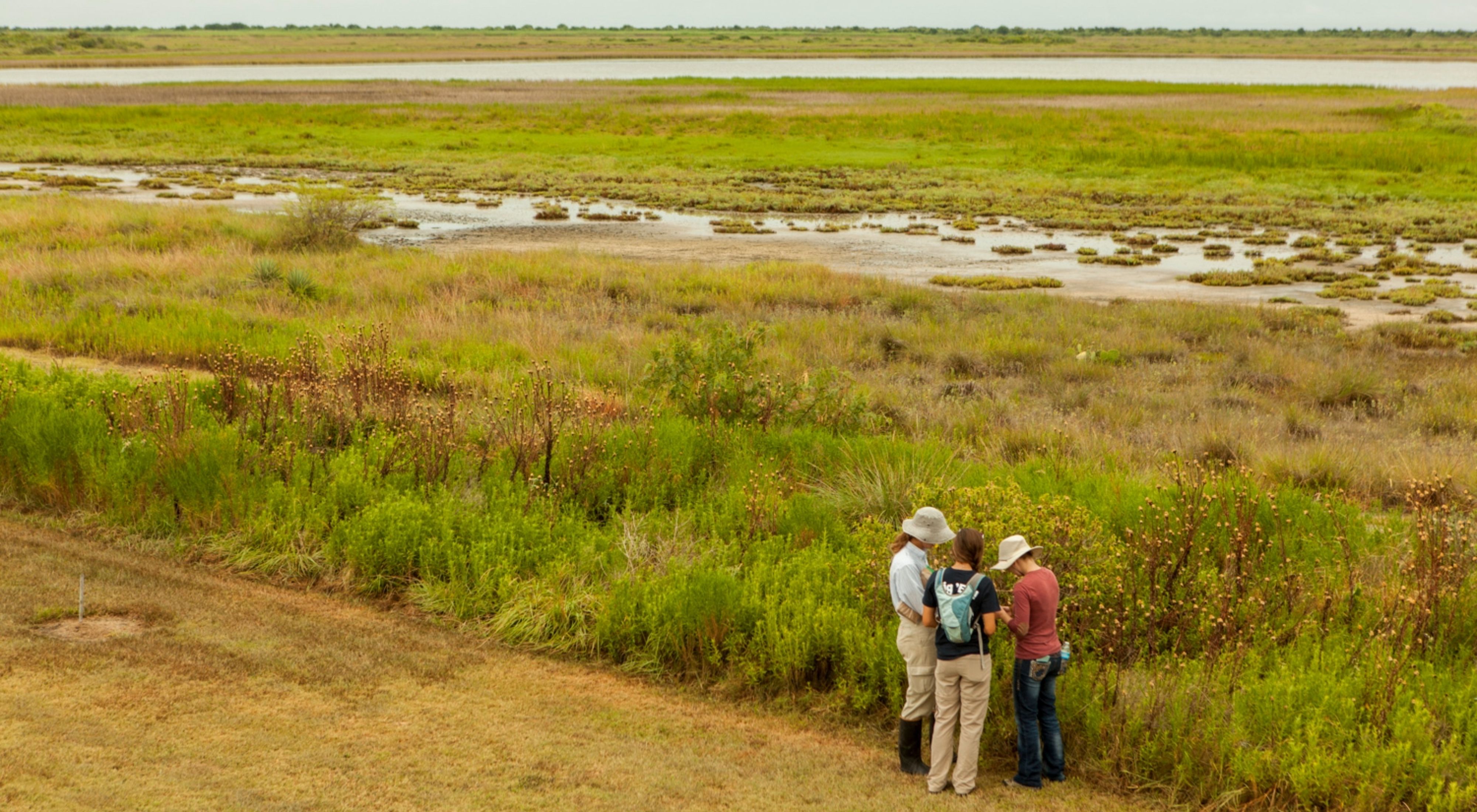 Three women stand together near an expanse of wetlands and water.