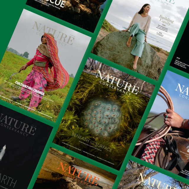 Several Nature Conservancy magazines laid out in rows.