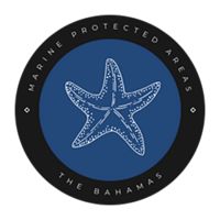 MPA logo with starfish
