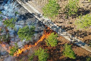 Drone picture of a controlled burn.