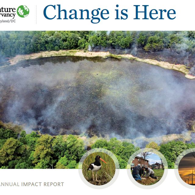  A report cover with the title "Change is Here" features smoke arising from soil.