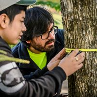 Two men observe a tape measure that wraps around a tree trunk.