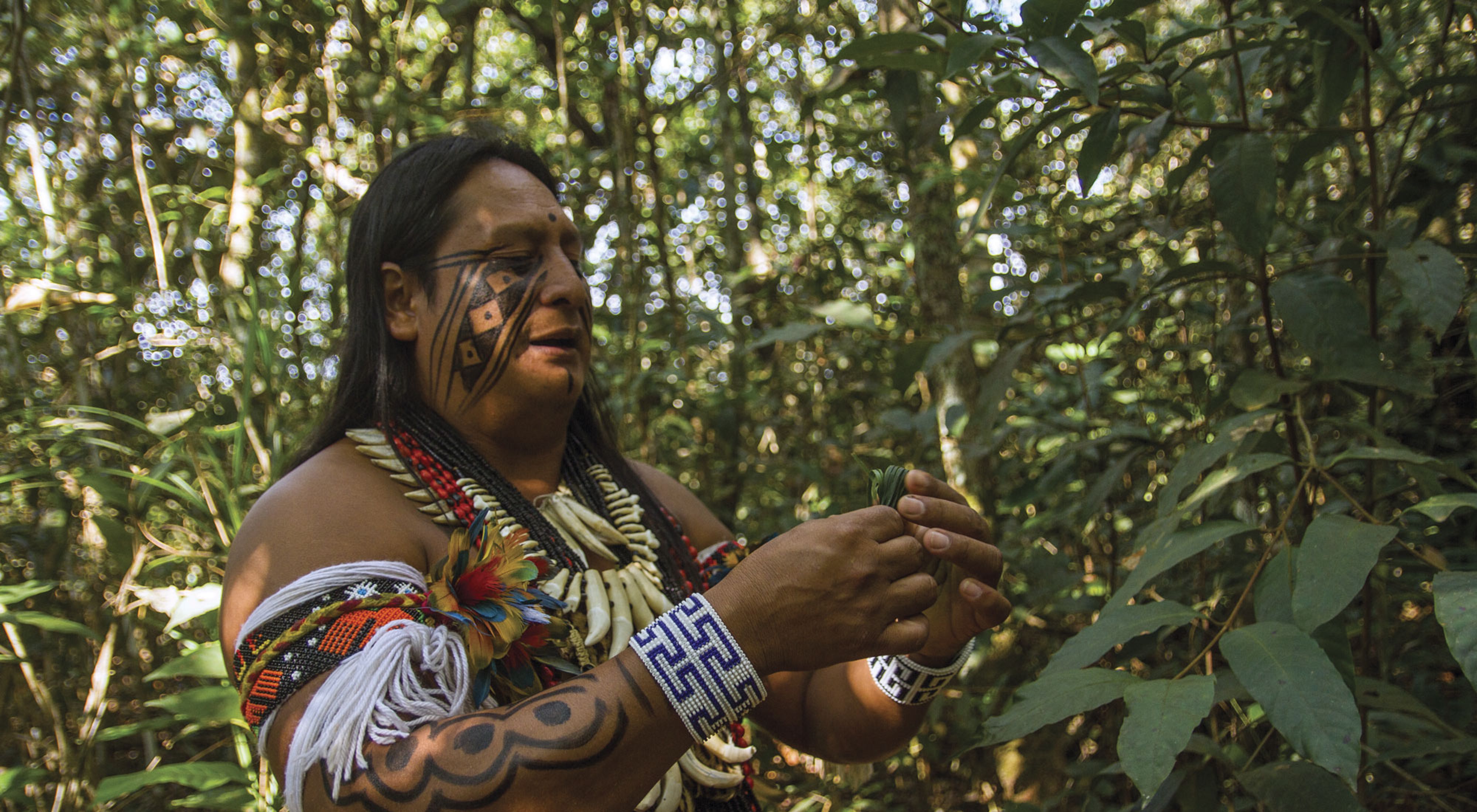 El Jefe de la aldea Wazare, Rony Paresi, es parte del grupo indígena paresi en el Mato Grosso do Sul, Brasil. TNC apoya al grupo paresi en el desarrollo de proyectos turístico