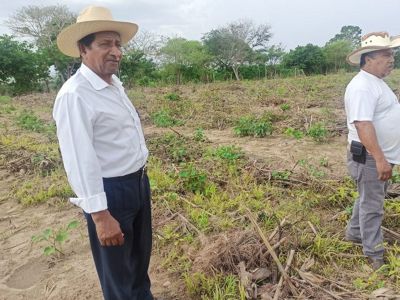 que se unió a la iniciativa Visión 2030, la quema de campos ha sido prohibida y las técnicas de agricultura regenerativa se han implementado