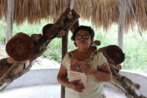 Aviasarita en su meliponario en Ich Ek, Hopelchén, Campeche