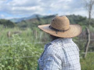 Un productor observa sus tierras en un ejido ganadero de Chiapas.