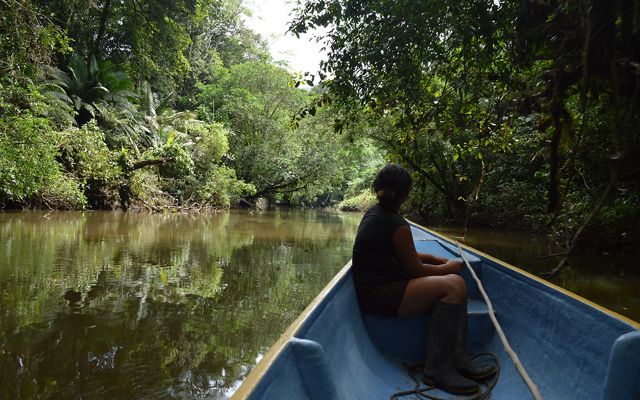 Una niña navega en una embarcación pequeña en un río entre áreas boscosas