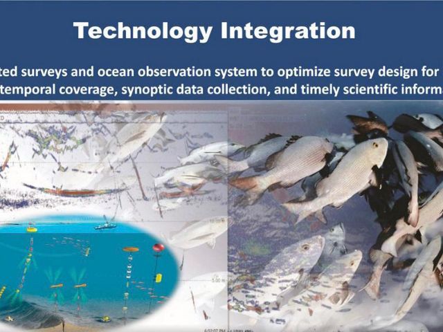 Importancia del monitoreo y evaluación de recursos pesqueros frente al cambio climático