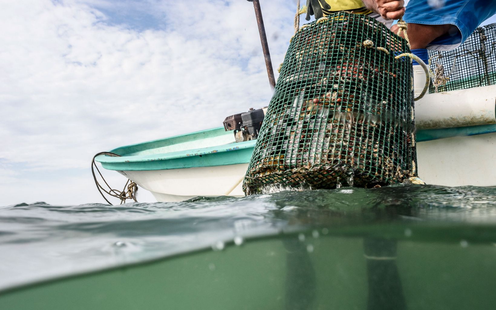 
                
                  Pescadores Manglito 
                  © © David Hills
                
              