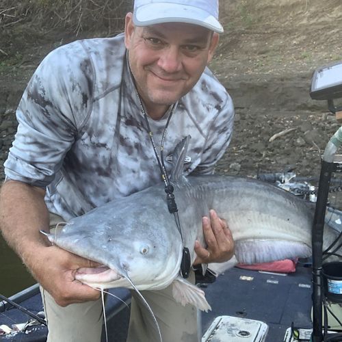 A man holding a large fish while standing in a boat.