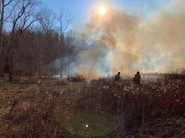 Smoke from a prescribed grassland fire drifting into a blue sky with two people silhouetted in the background.