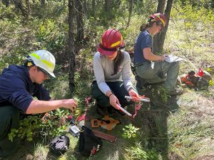 Three people sit on the ground in a forest and prepare for a controlled burn.