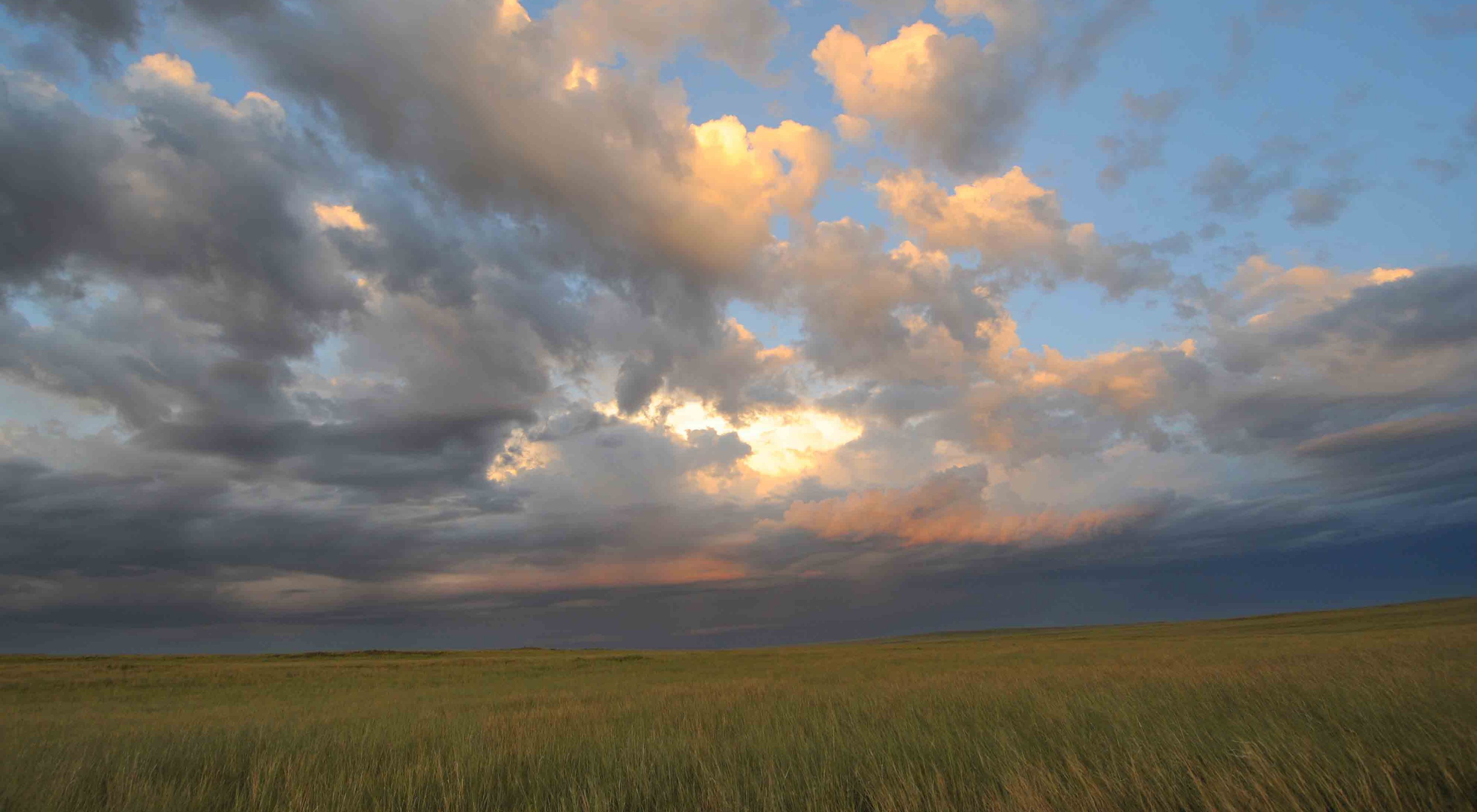 Stormy sunrise over Mongolian Grasslands.