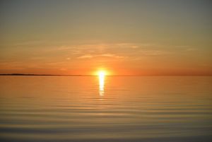 TNC Mongolia protects lands and waters.