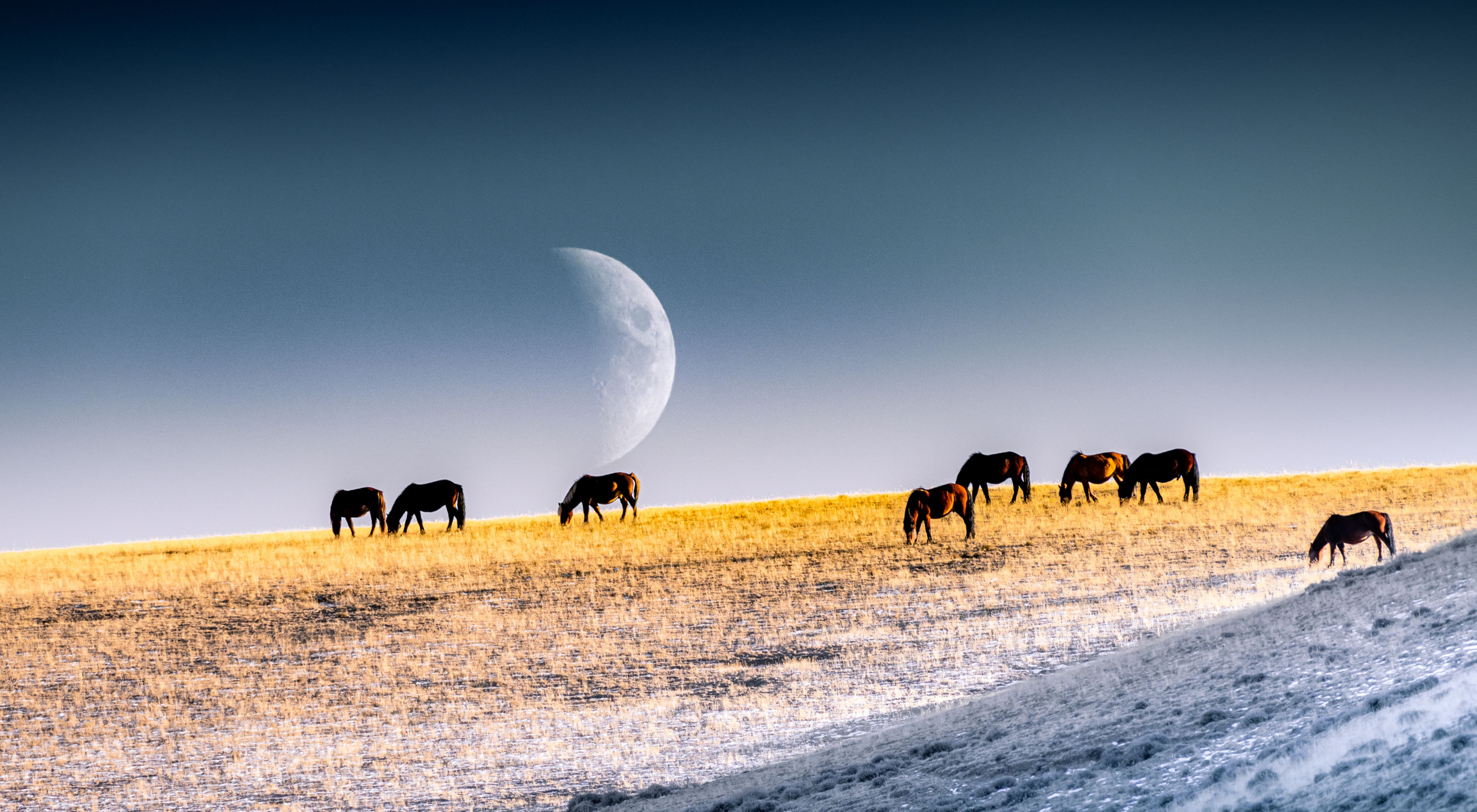 Moon at sunrise, Mongolia.