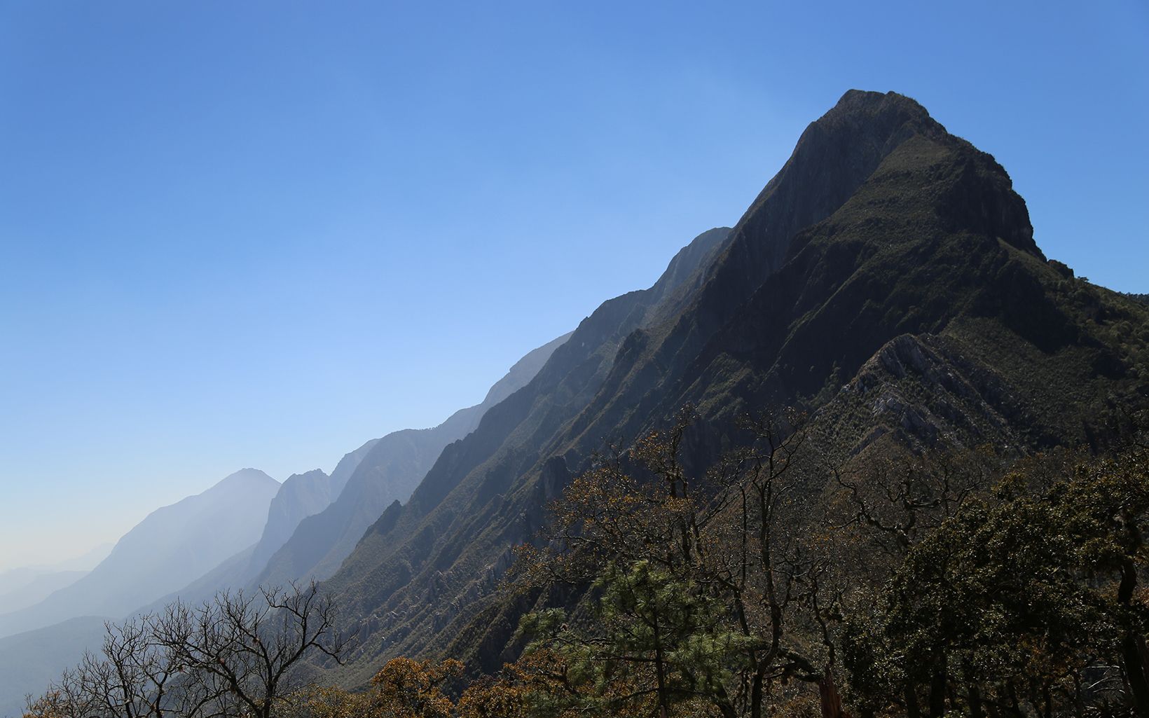 Monterrey, Mexico experienced flooding and drought during recent years. The city is investing in reforestation and many other activities designed to improve the lands within the watershed. © The Nature Conservancy