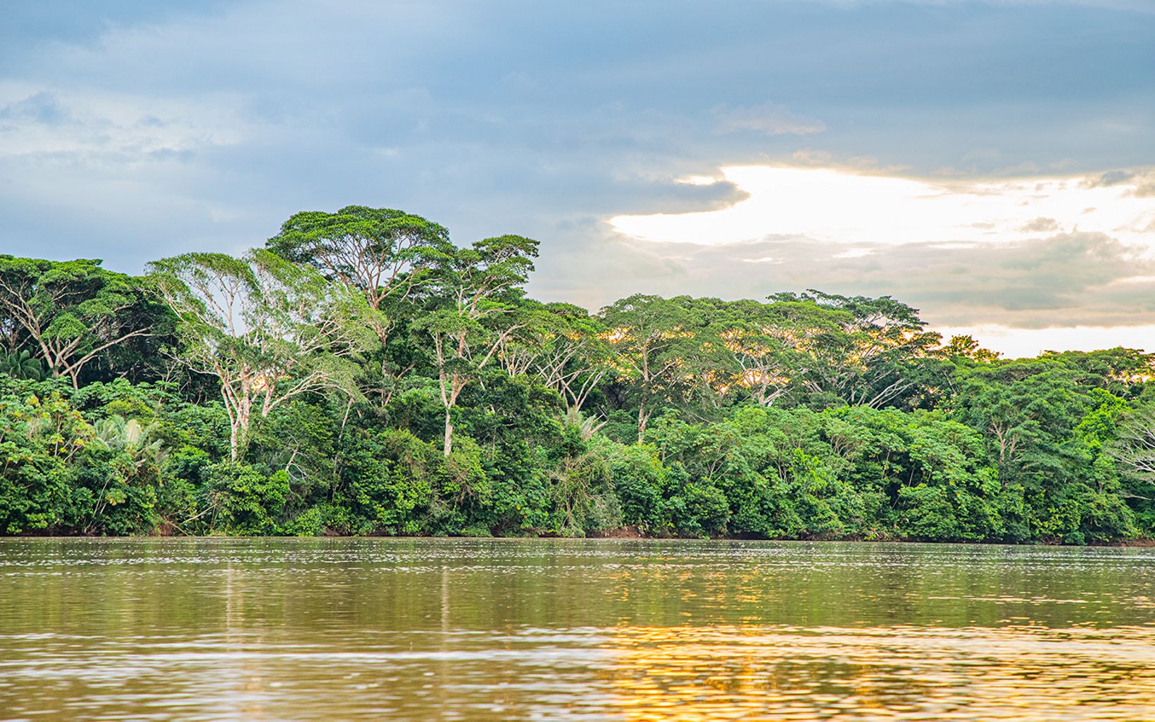 El ritmo acelerado en que se está transformando la selva amazónica colombiana hace que imágenes como esta estén en riesgo de desaparecer.