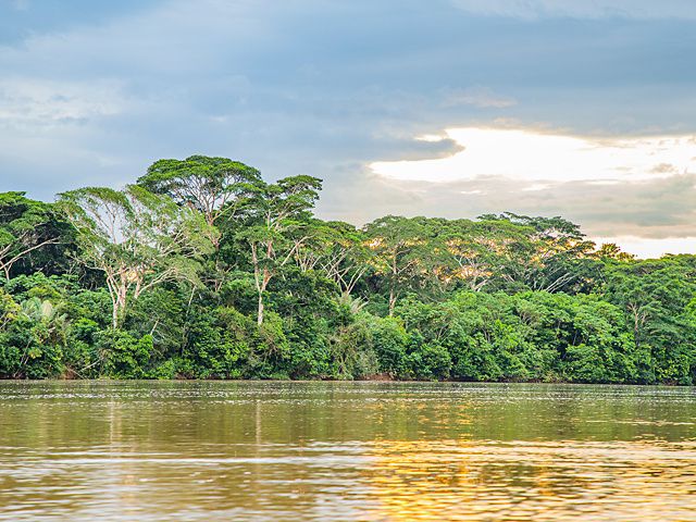 El ritmo acelerado en que se está transformando la selva amazónica colombiana hace que imágenes como esta estén en riesgo de desaparecer.
