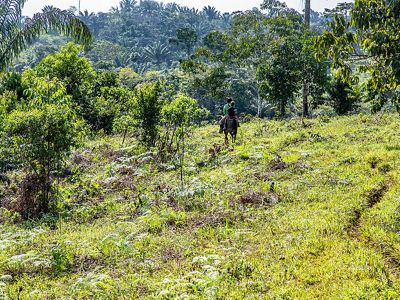 El territorio muestra escenas de deforestación cada vez más frecuentes, que contrastan con la exuberancia natural de la selva.