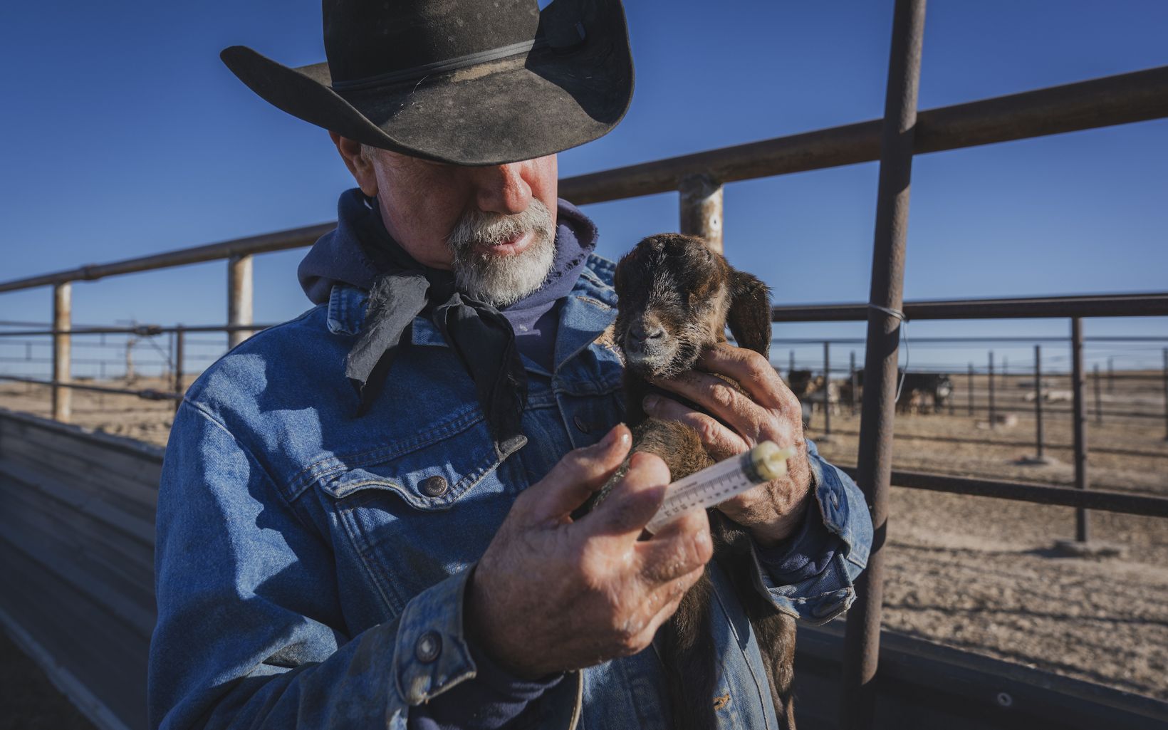 New Kid on the Ranch When Treg Hatcher first found this newborn goat, the kid was cold and unmoving. But as he checked, he felt a slight stirring and immediately went into protector mode. © Morgan Heim 