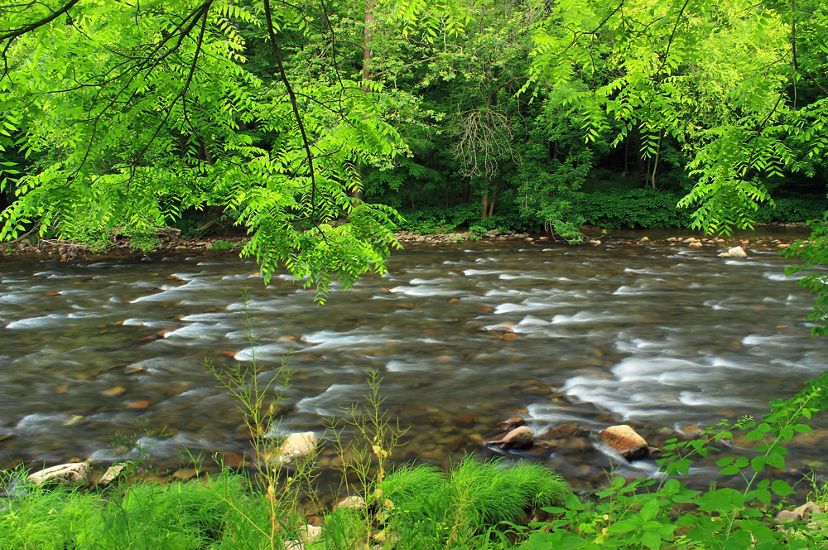 Water flows downstream and glides over a rocky river basin that is lined with lush green trees.