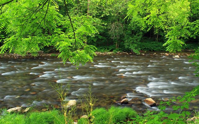 A strong and wide river flows through green trees.