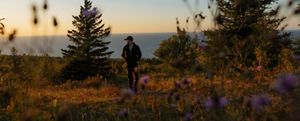 A scenic landscape captures a hiker on a path overlooking one of the Great Lakes during the golden hours of the day. The foreground is filled with softly blurred purple wildflowers and tall grasses, while evergreen trees and mixed vegetation occupy the midground. Warm sunlight bathes the entire scene in golden tones, highlighting the textures of the plants and trees. Beyond the forested ridge, calm blue water stretches across the horizon under a clear sky. The image conveys the beauty of a natural coastal landscape and the experience of exploring it on foot.