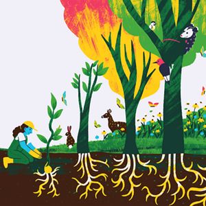 Colorful illustration of a person kneeling and planting a sapling in a forest landscape. Mature trees with extensive root systems fill the scene. Birds perch in the trees, while a deer, rabbit, butterflies, bees, and wildflowers appear throughout the habitat. The roots of the trees are prominently shown below ground, emphasizing how a single planted seedling can contribute to a larger, interconnected and thriving ecosystem.