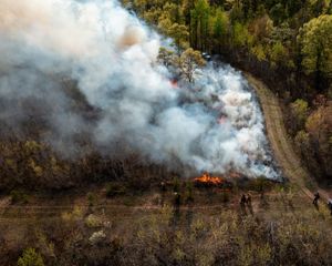 Aerial view of a controlled burn in a forest.