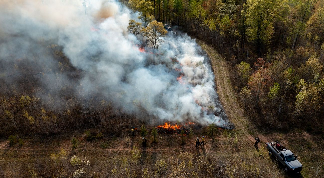 Aerial view of a controlled burn in a forest.