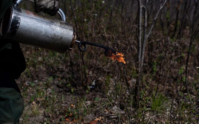 Close up of a drip torch with a flame on the end.