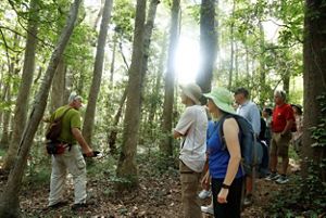 A group of people during a guided hike.
