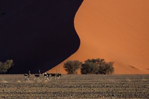 an aerial view of a landscape