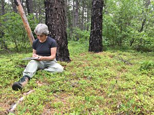 A woman sits under a tree writing notes on a clipboard.