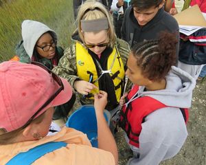 View looking down on four students crowding around a TNC staff member who is holding out a small fiddler crab for them to see.