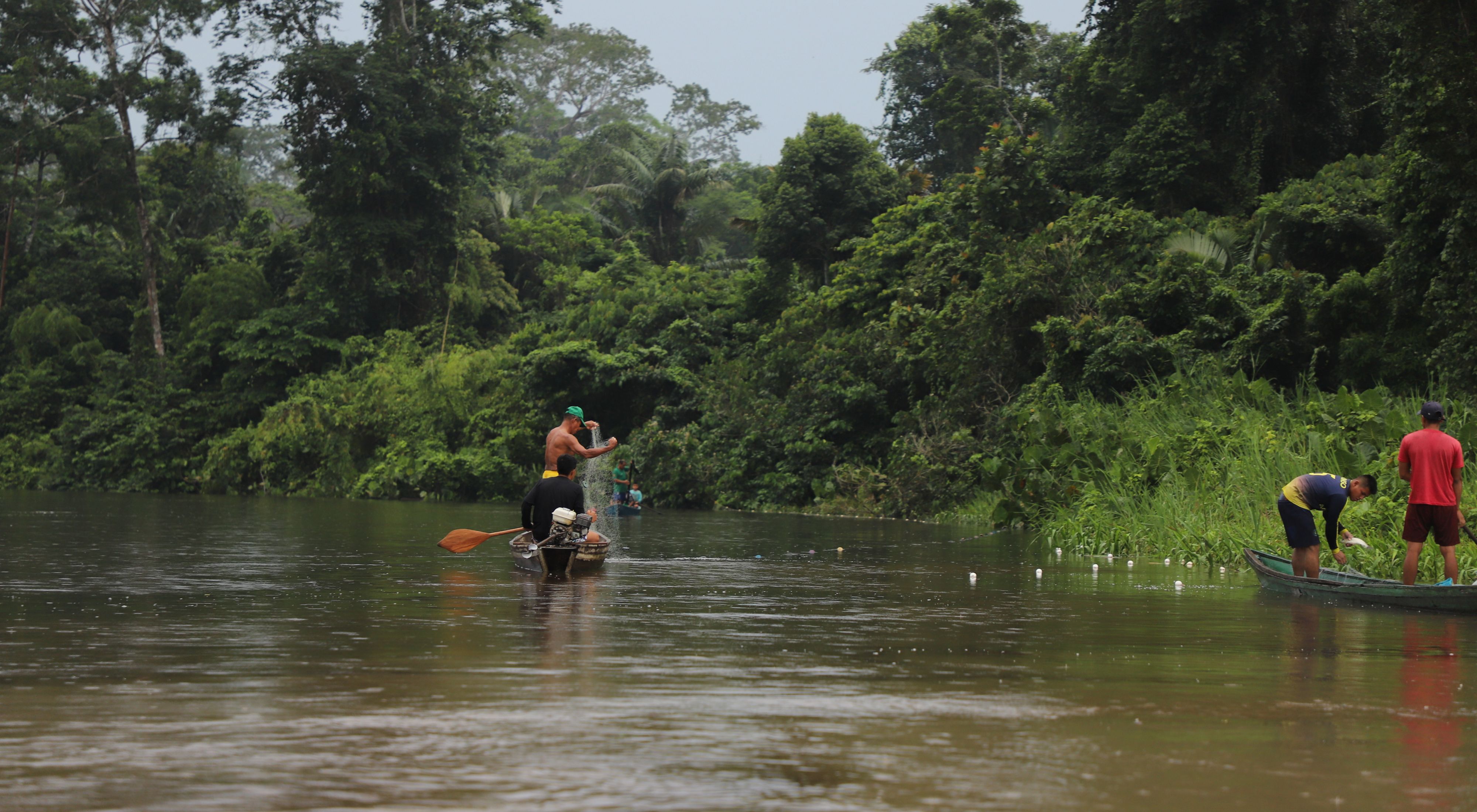 Several men stand in two boats on a river, holding fishing nets in front of a lush forest
